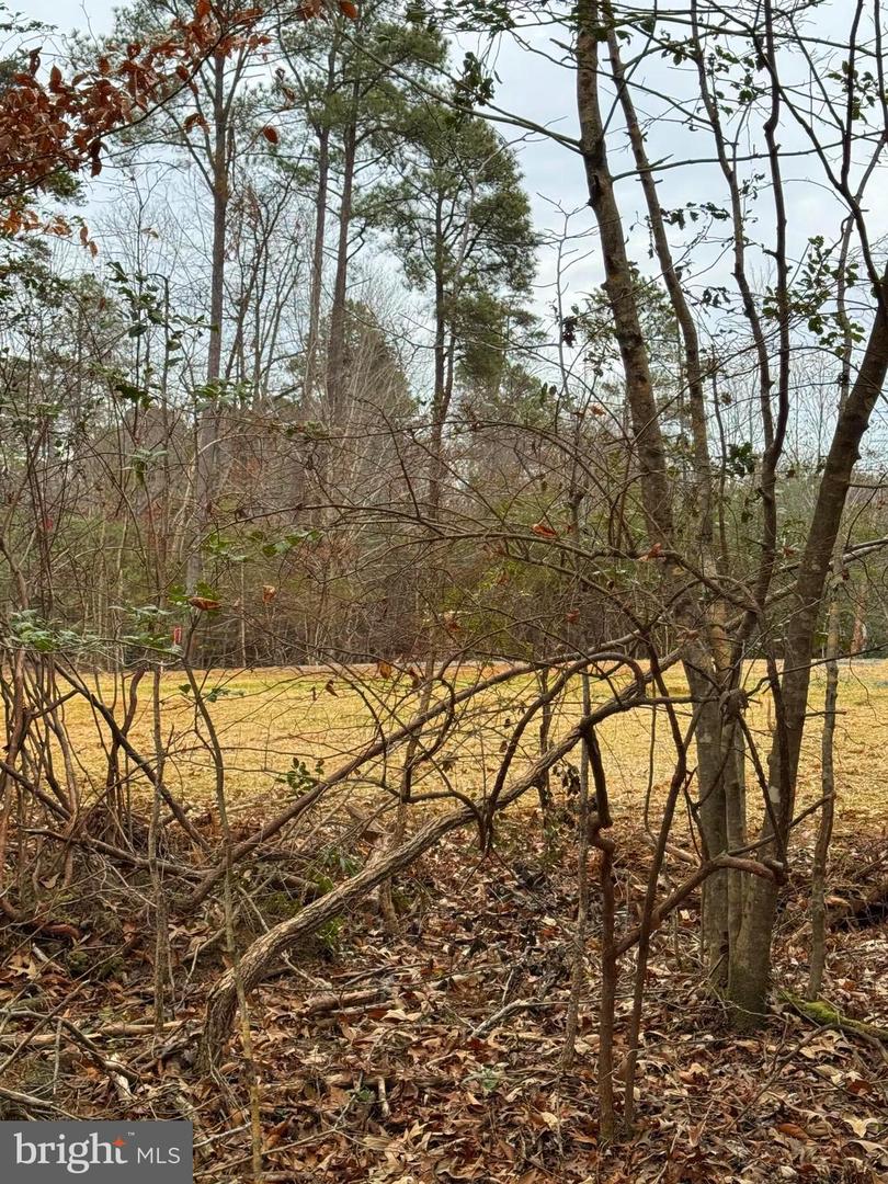 1 Seagrass Ct Property Photo 24