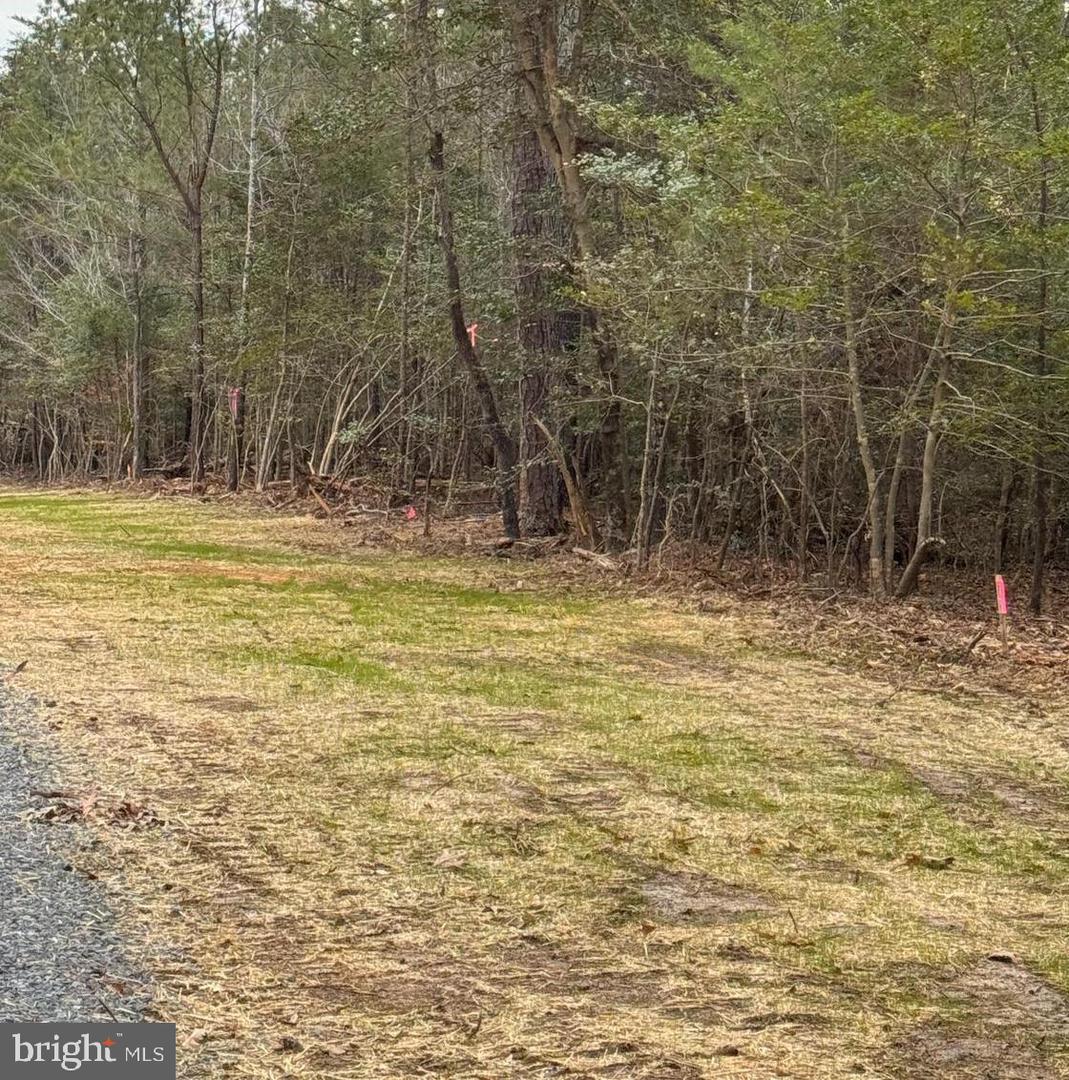 1 Seagrass Ct Property Photo 28