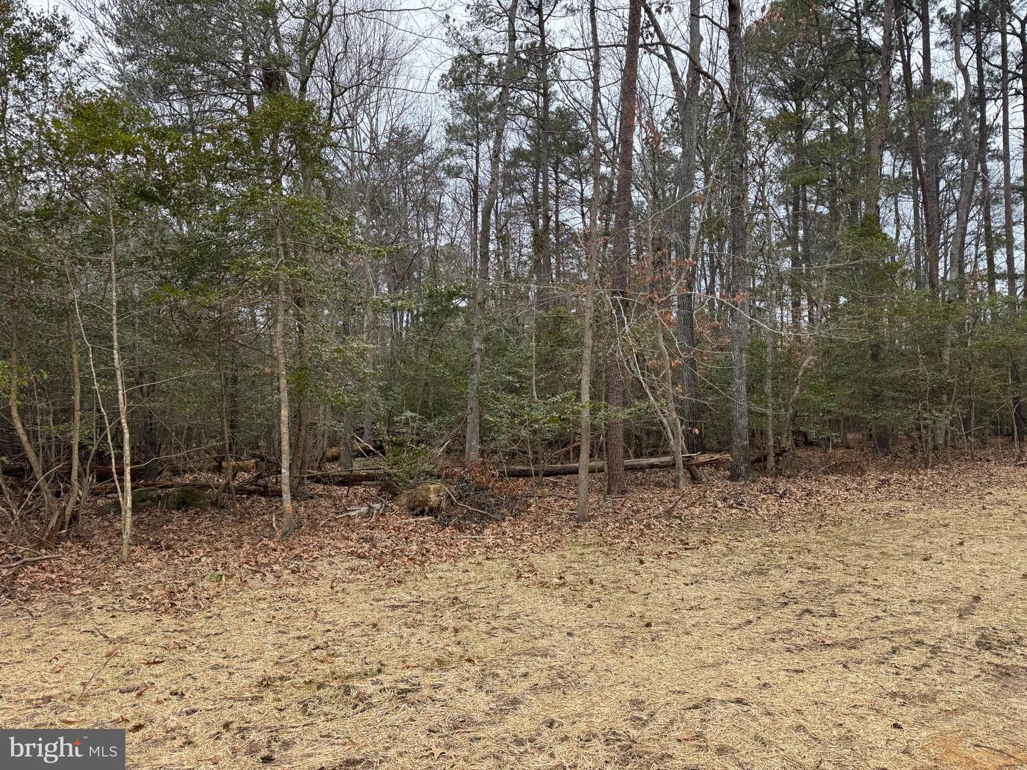 2 Seagrass Ct Property Photo 11