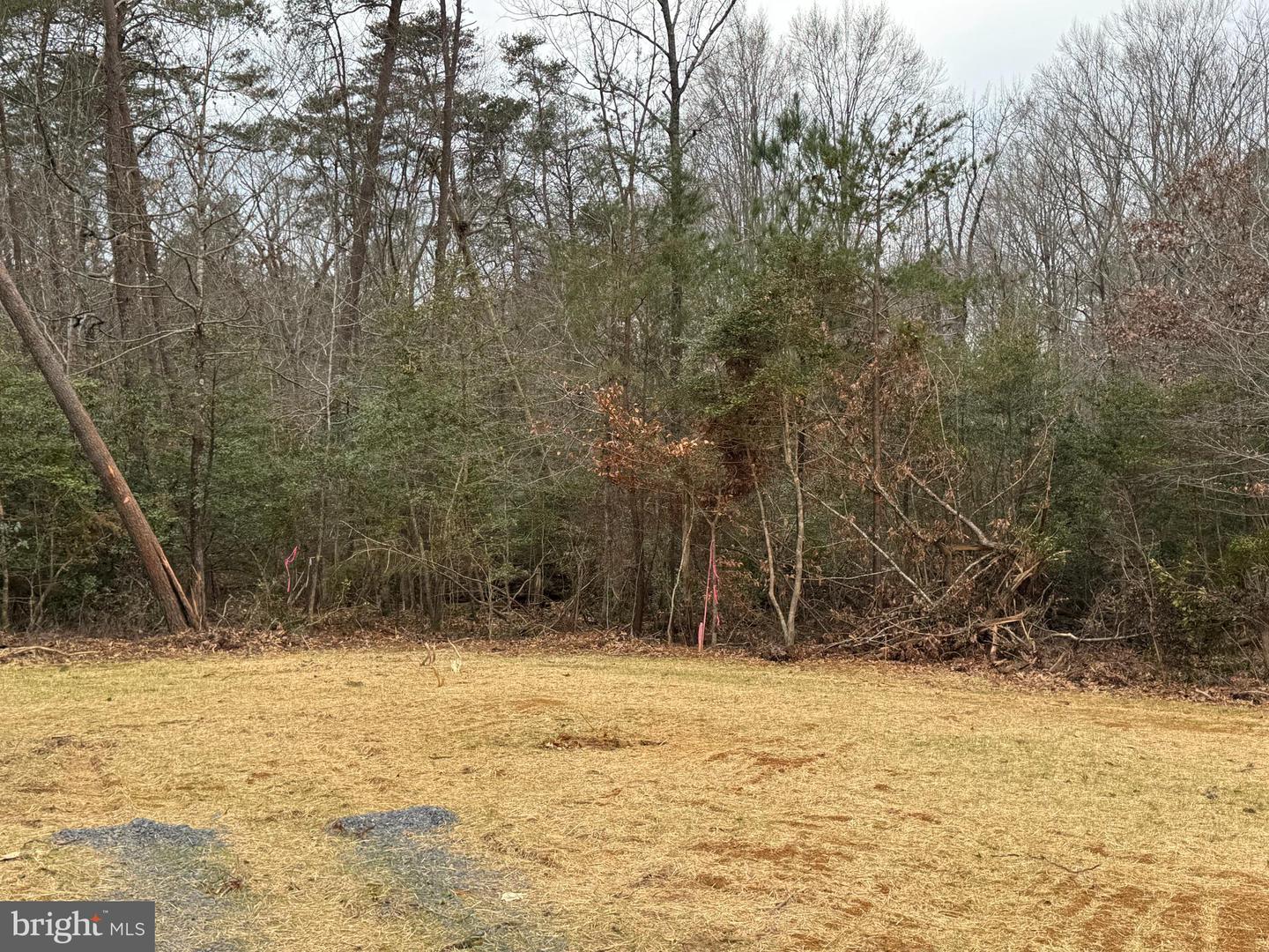 2 Seagrass Ct Property Photo 15