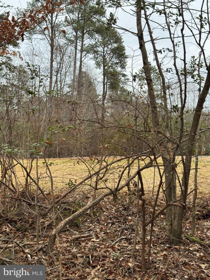 2 Seagrass Ct Property Photo 24