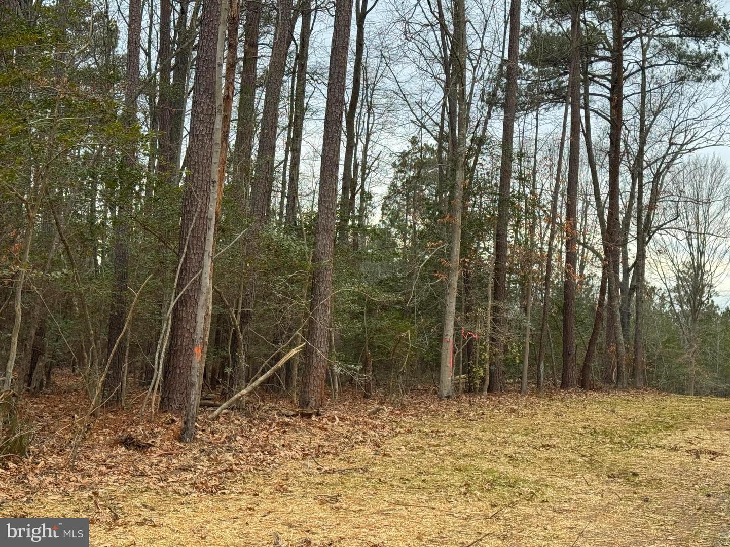 2 Seagrass Ct Property Photo 25