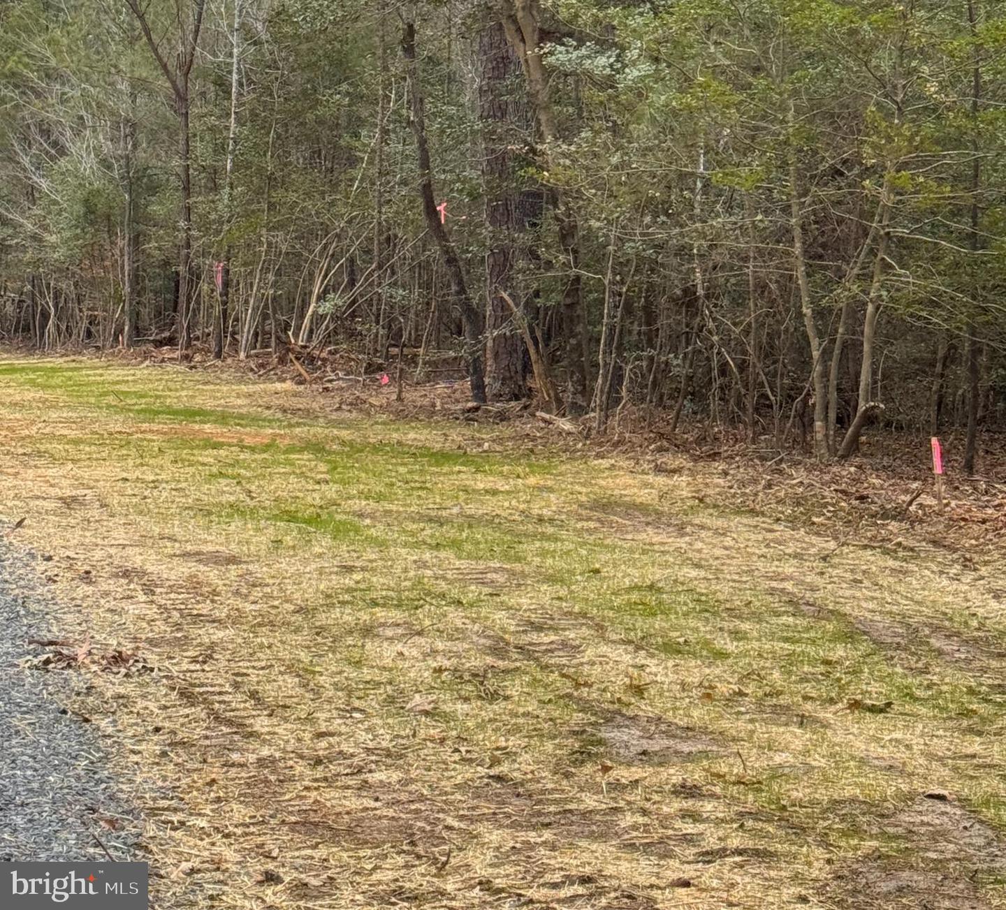 2 Seagrass Ct Property Photo 28