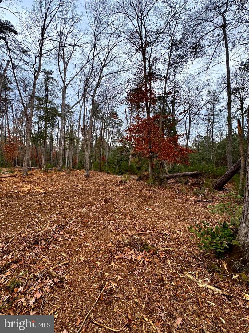 3 Seagrass Ct Property Photo 20