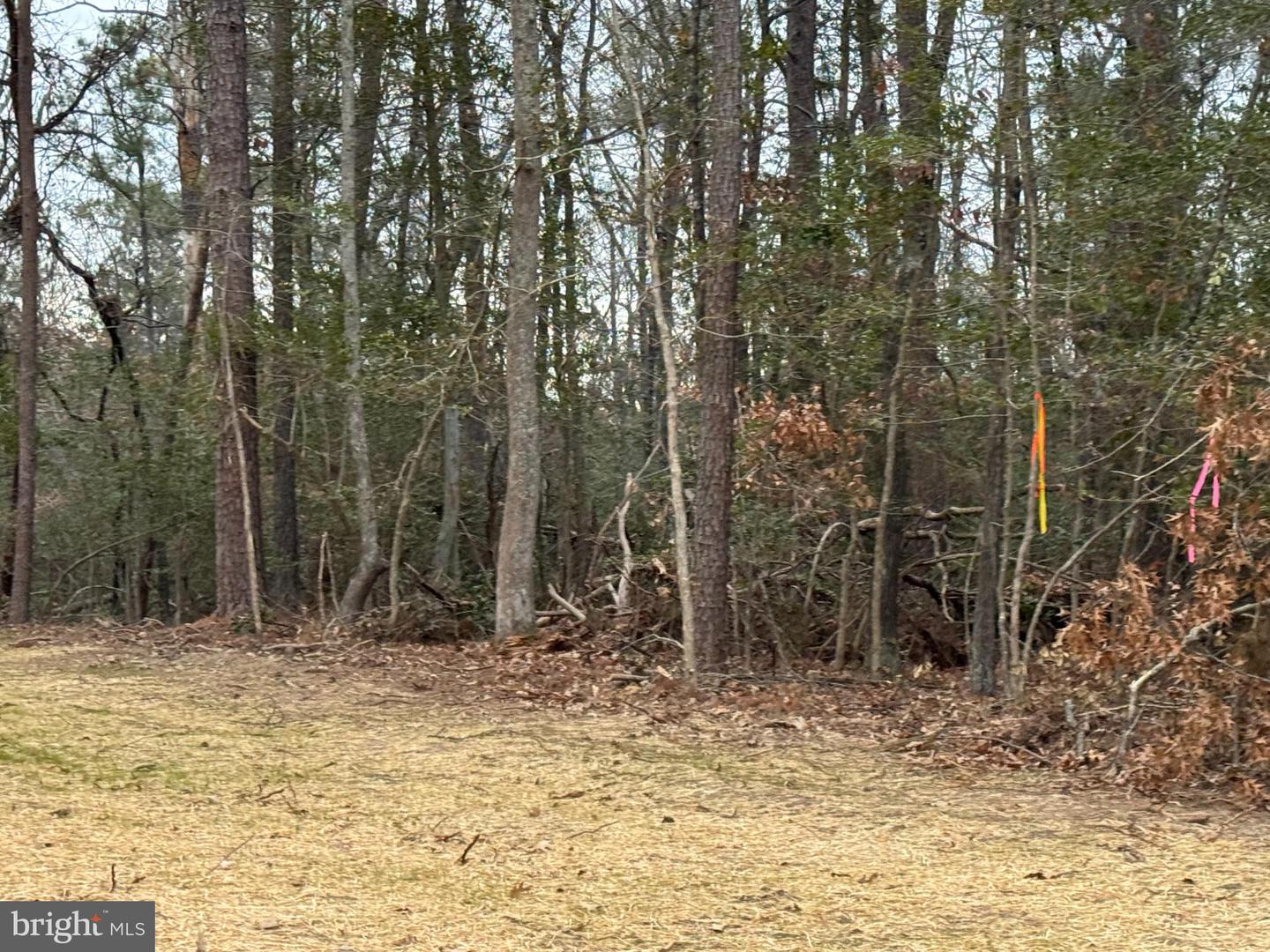 3 Seagrass Ct Property Photo 27