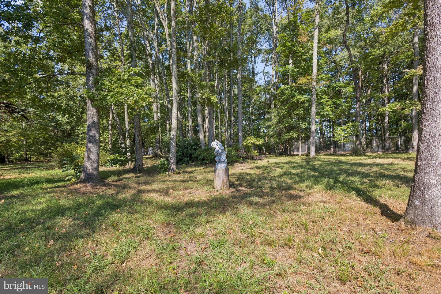 8612 Sandy Beach Ln Property Photo 62