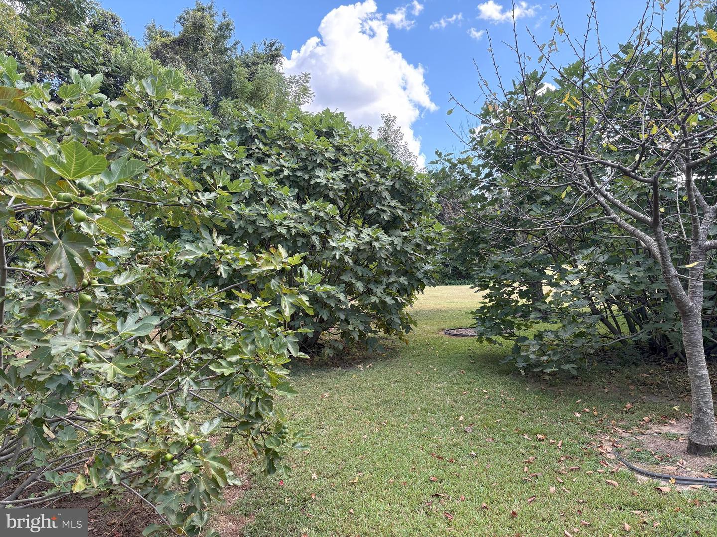 8612 Sandy Beach Ln Property Photo 76