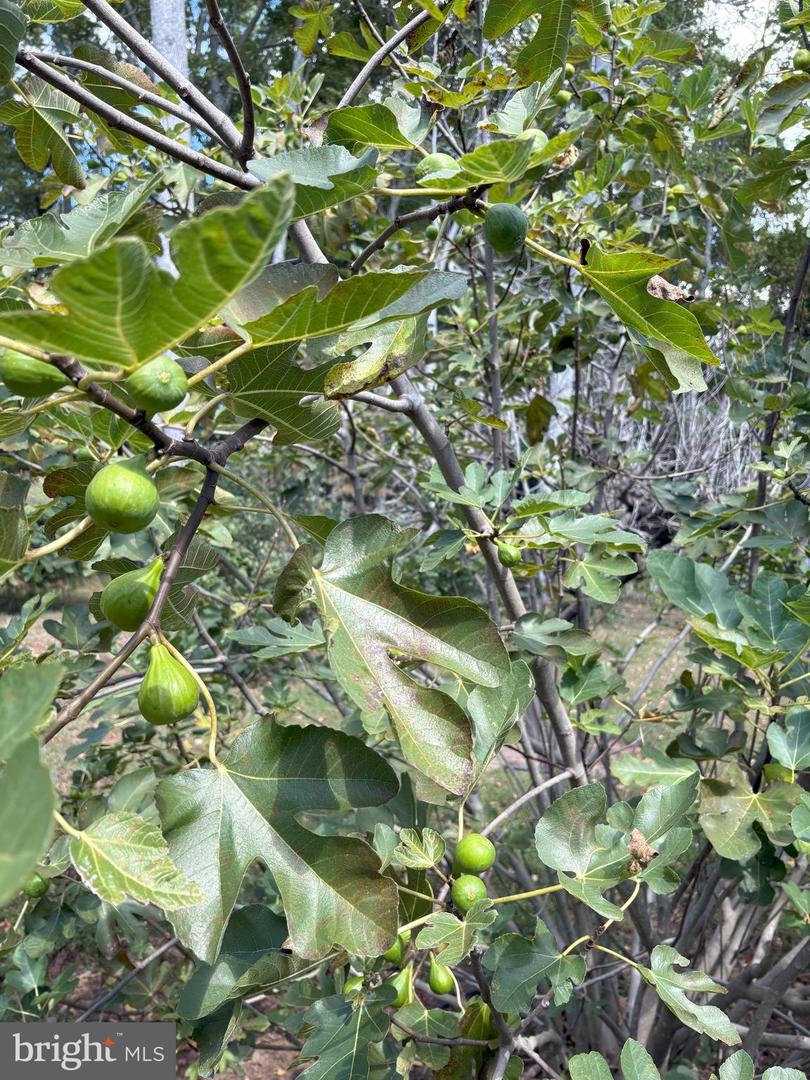 8612 Sandy Beach Ln Property Photo 77