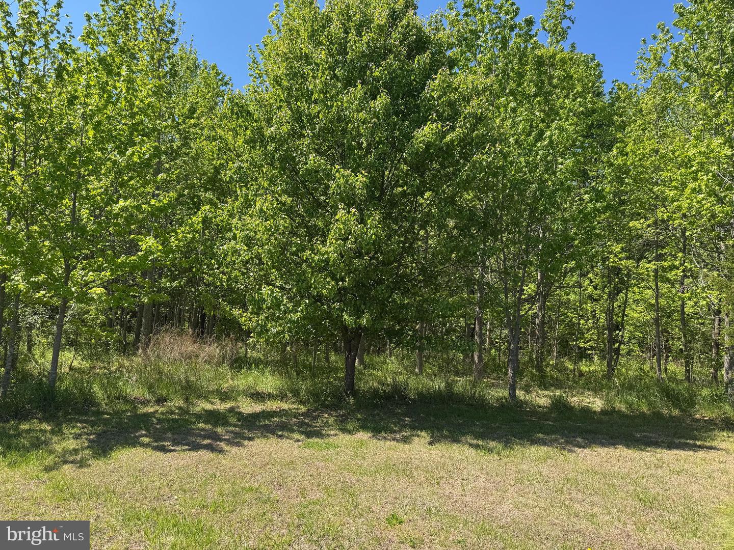 1913 Swan Way Ln Property Photo 3