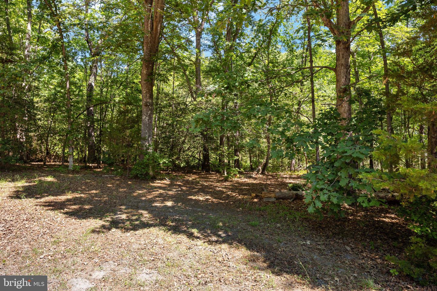 2381 Nancy Ln Property Photo 100