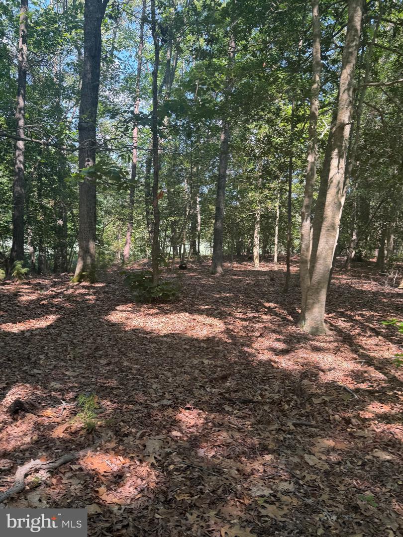 0000 Nancy Ln Property Photo 1