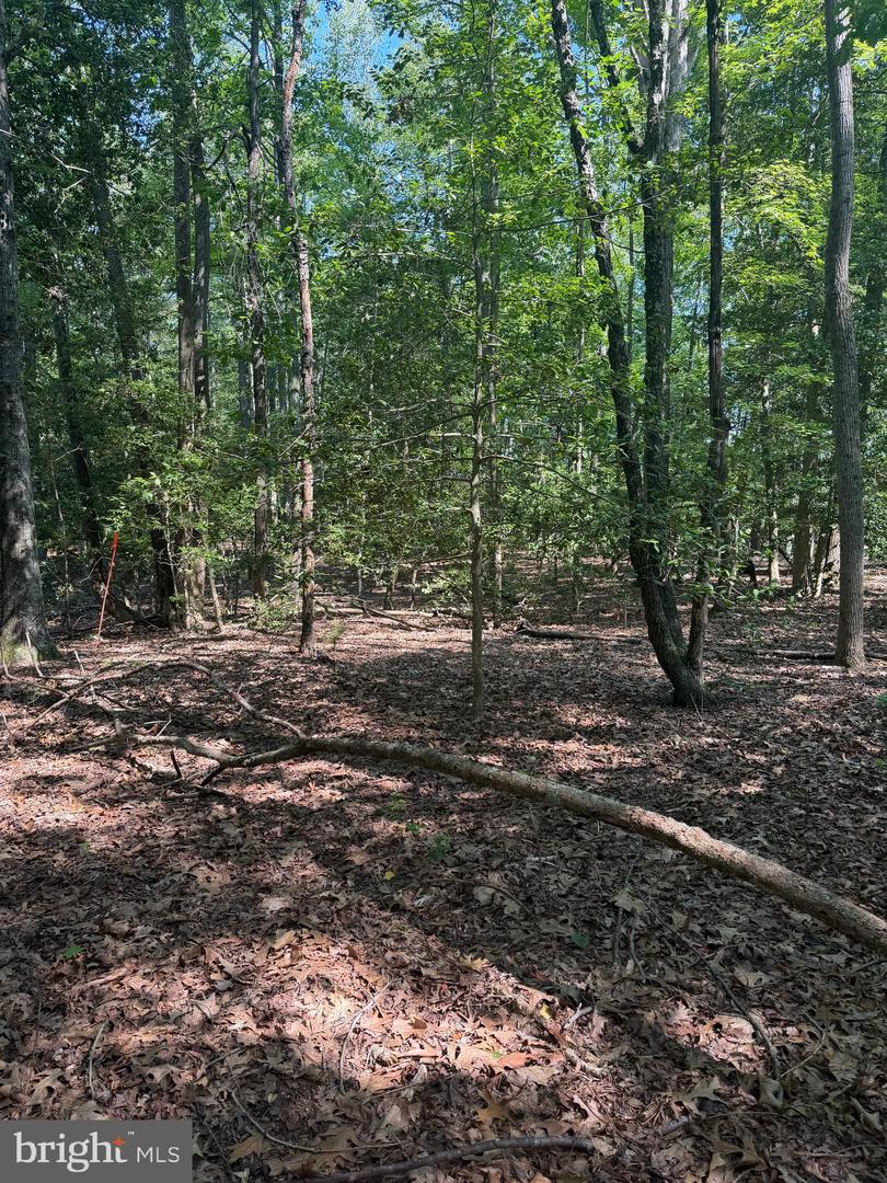 0000 Nancy Ln Property Photo 3