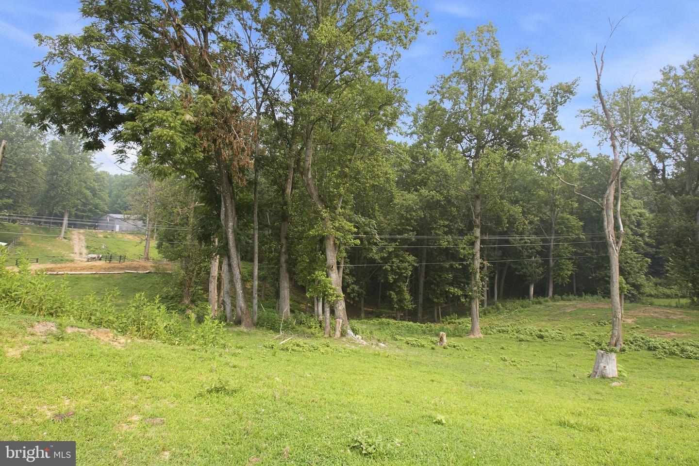 2137 Belvedere Dr Property Photo 63