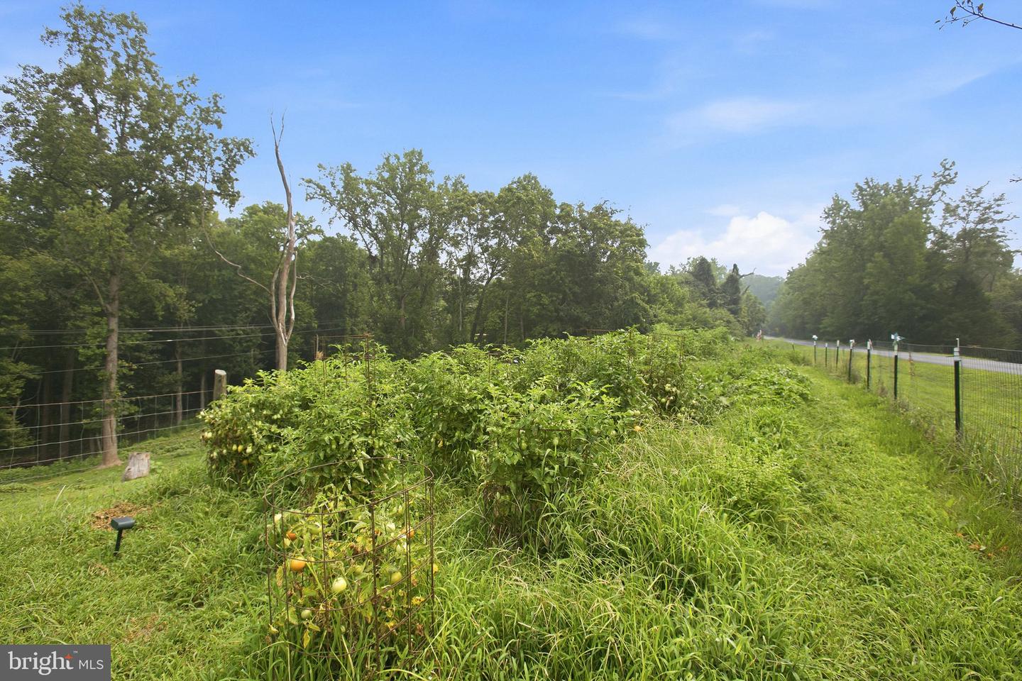 2137 Belvedere Dr Property Photo 68