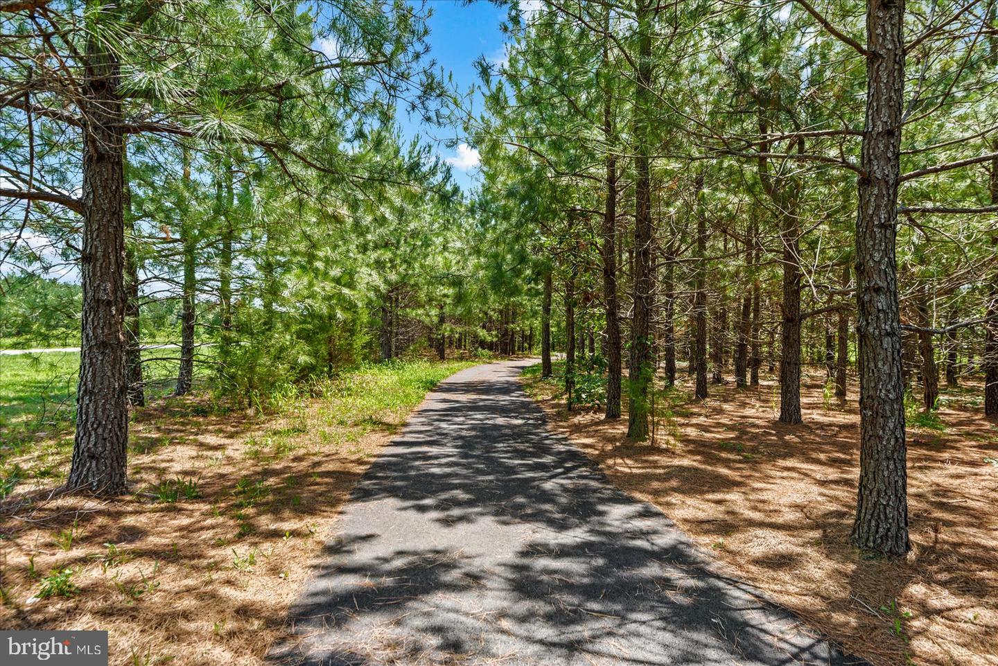 6325 Pointer Ln Property Photo 43