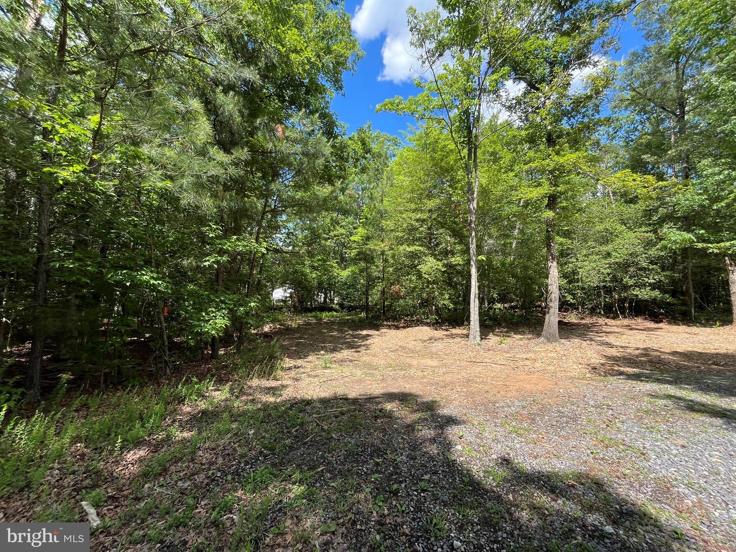 Cardinal Pl Property Photo 3