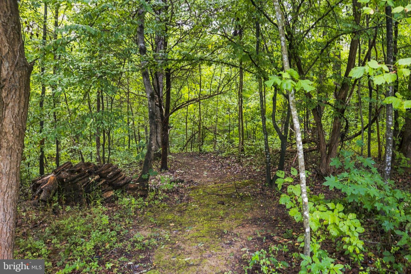 5972 Parsons Ln Property Photo 42