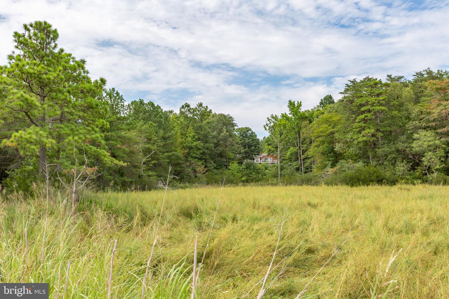 18270 Stoney Point Rd Property Photo 62