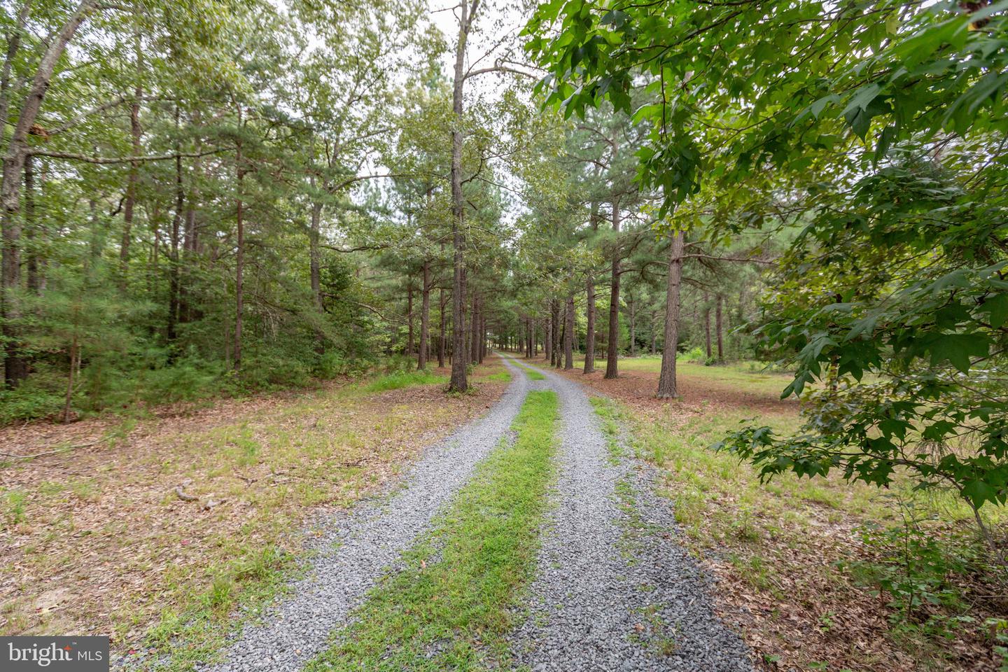 18270 Stoney Point Rd Property Photo 63