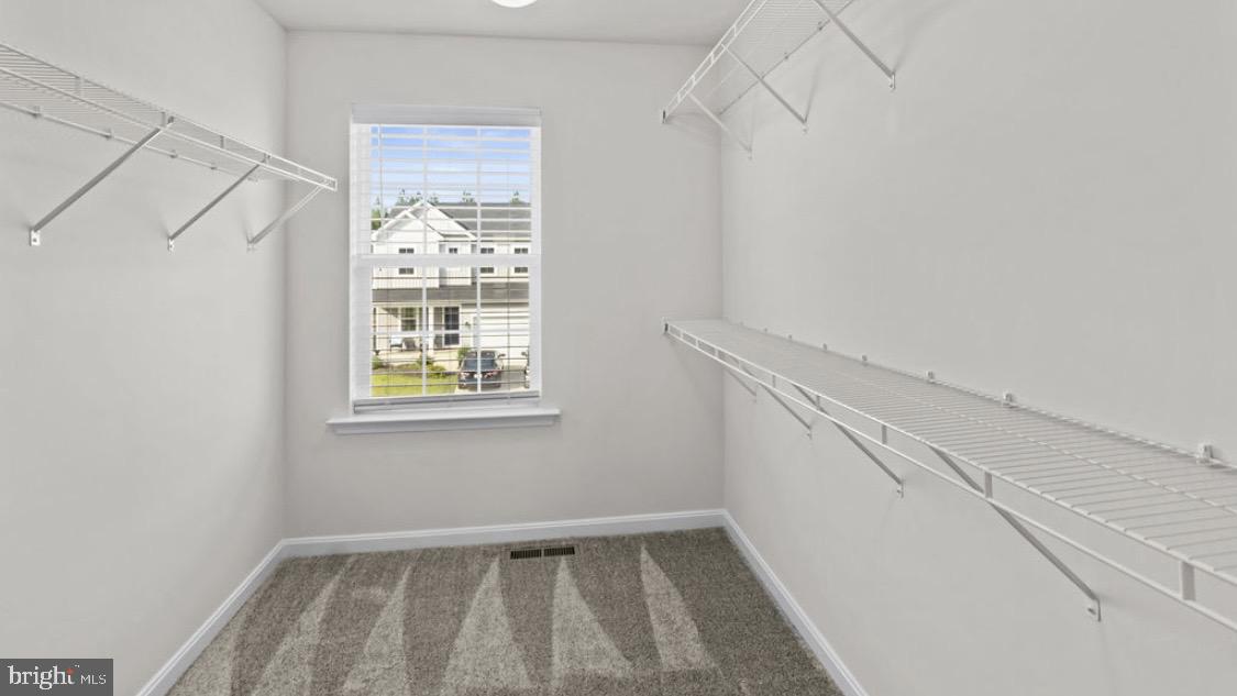 6360 Pointer Ln Property Photo 32