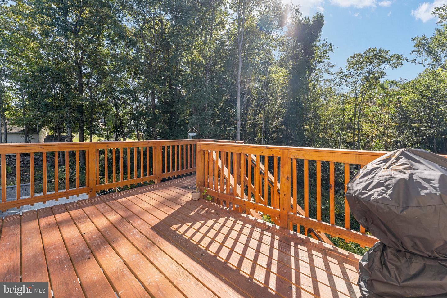 13290 Ormond Way Property Photo 50