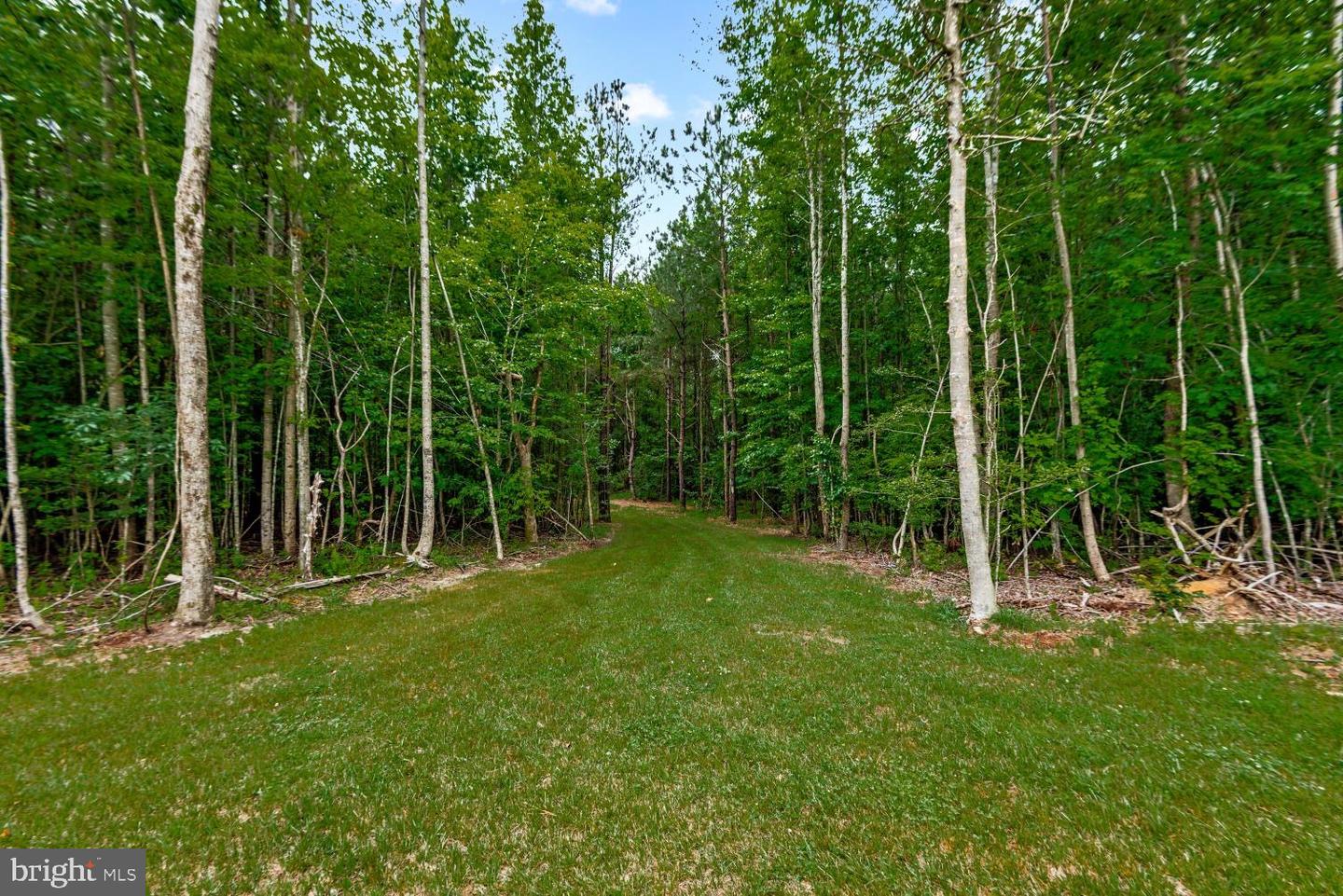 568 Reed Bridge Farm Road Property Photo 23