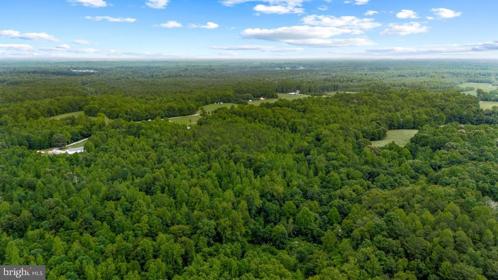 568 Reed Bridge Farm Road Property Photo 36