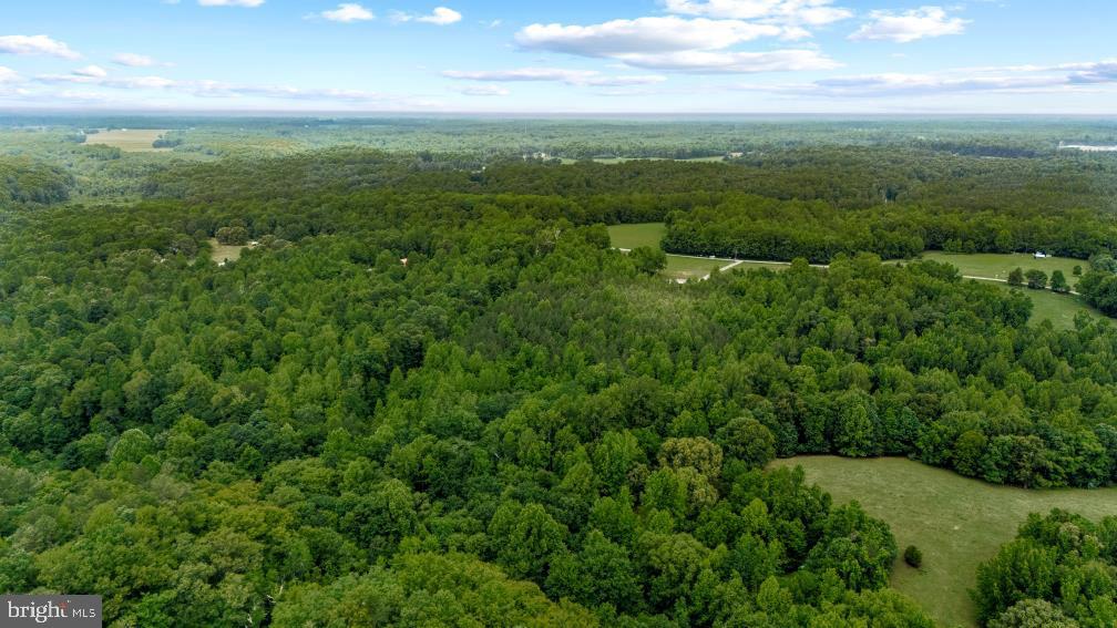 568 Reed Bridge Farm Road Property Photo 37