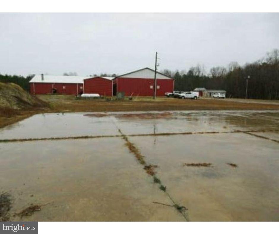 113 Roundabout Rd Property Photo 11