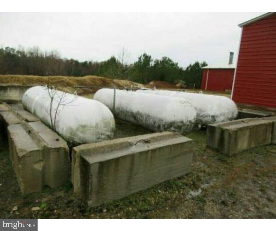 113 Roundabout Rd Property Photo 16
