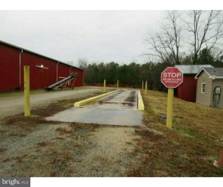 113 Roundabout Rd Property Photo 18