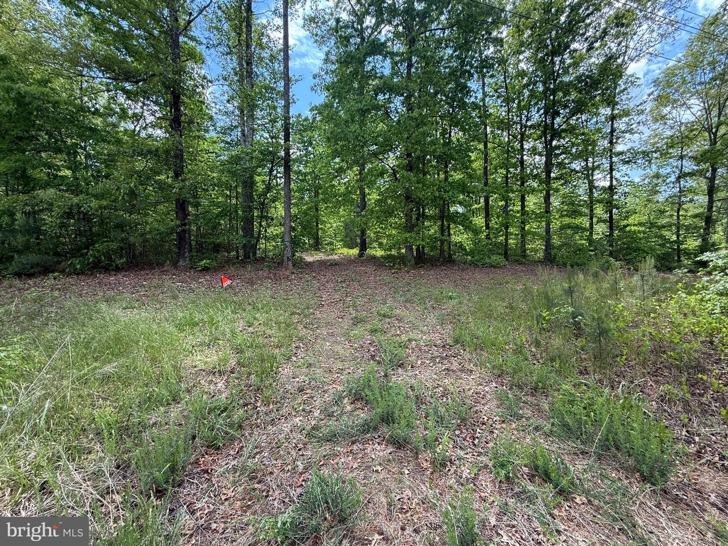 4612 King William Rd Property Photo