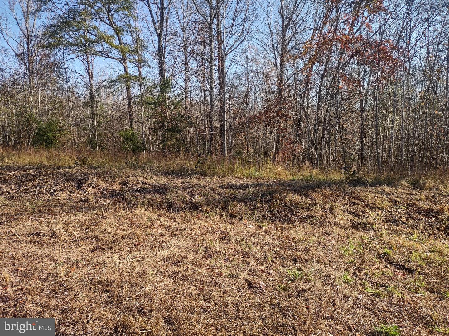 Lot 4 Kimberly Court Property Photo 1