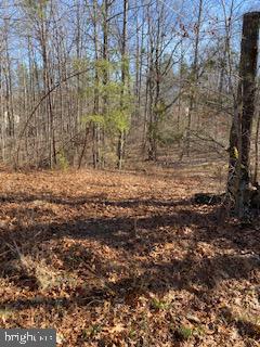 Lot 2 Hickory Creek Rd. #2 Property Photo 1