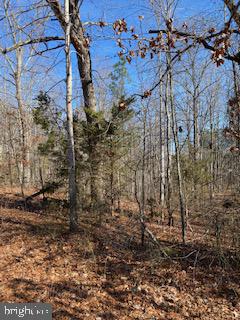 Lot 2 Hickory Creek Rd. #2 Property Photo 2