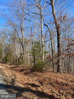 Lot 2 Hickory Creek Rd. #2 Property Photo 3