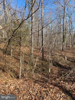 Lot 2 Hickory Creek Rd. #2 Property Photo 4