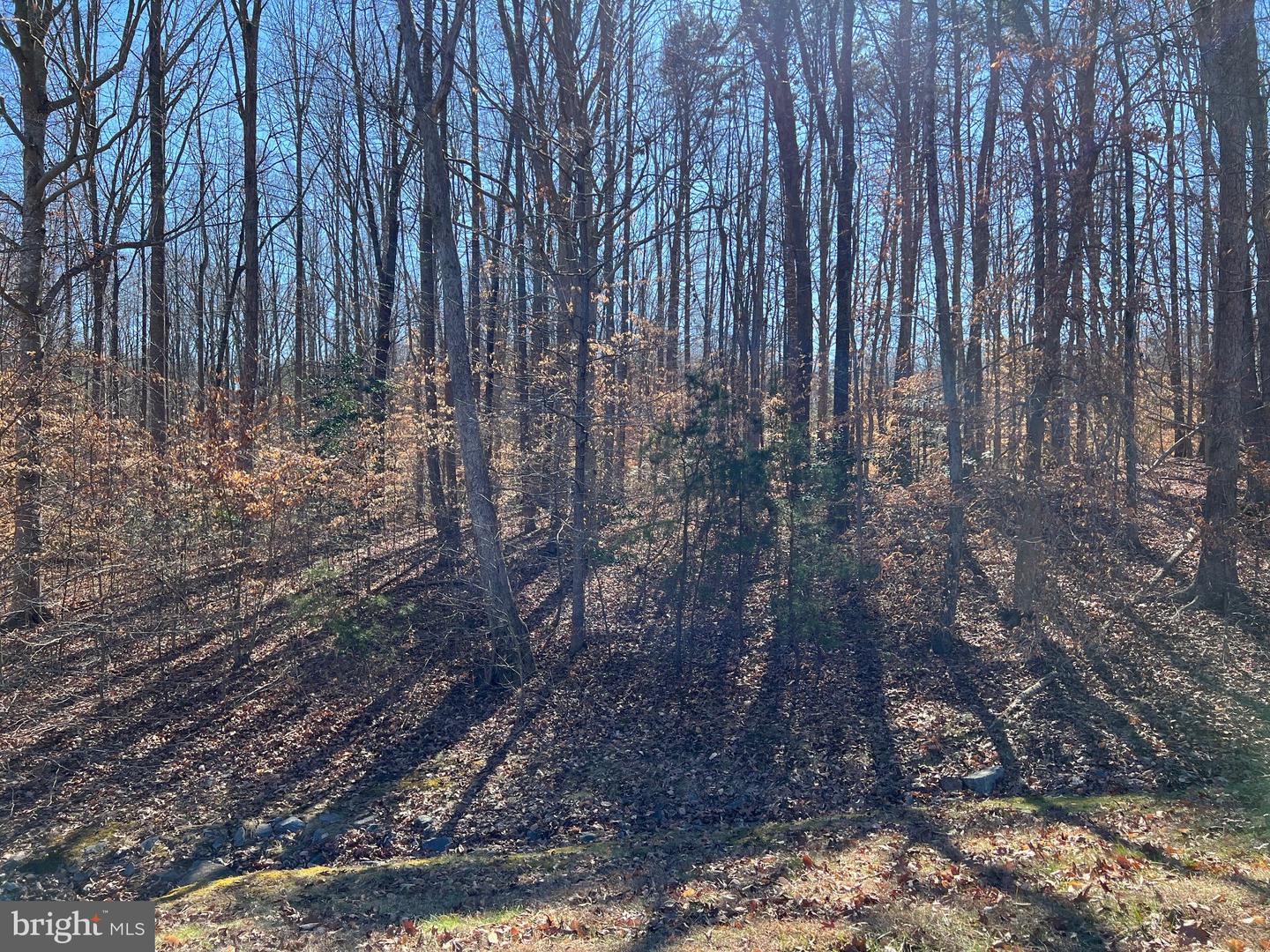 Noah's Landing Drive Property Photo 2