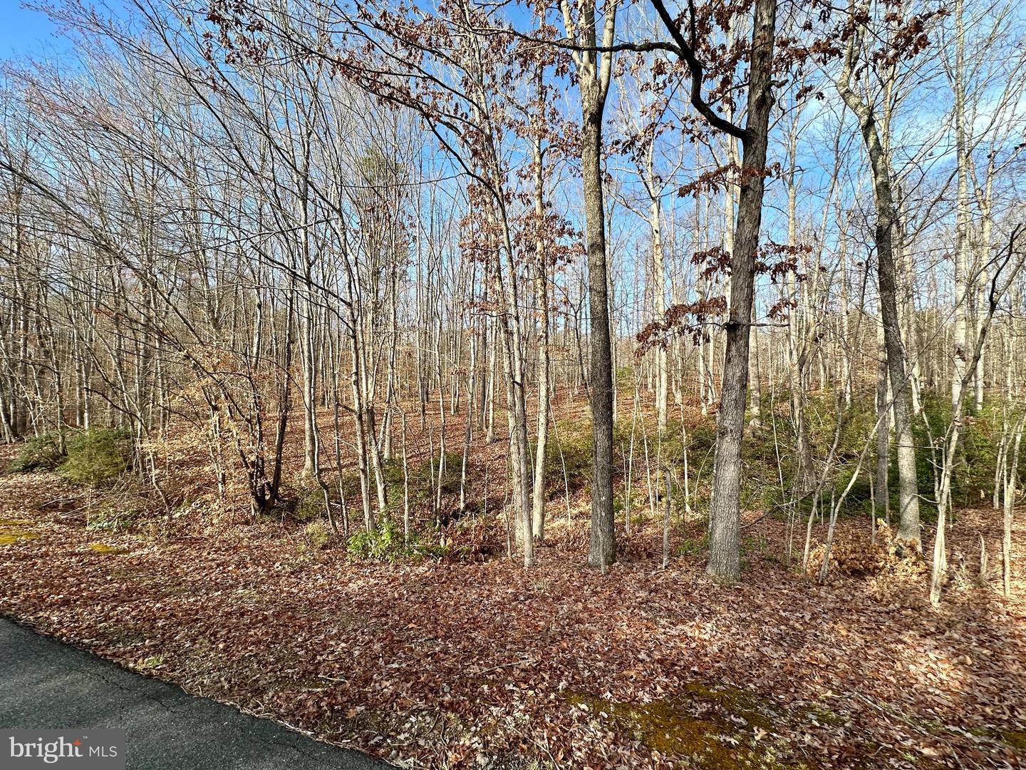 Lot 165 Oakmont Dr Property Photo 4