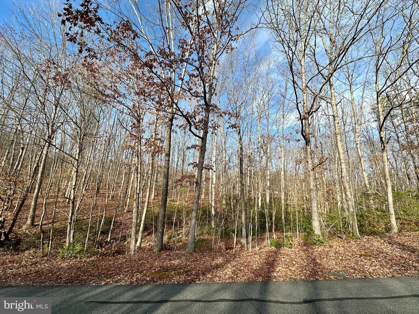 Lot 165 Oakmont Dr Property Photo 5