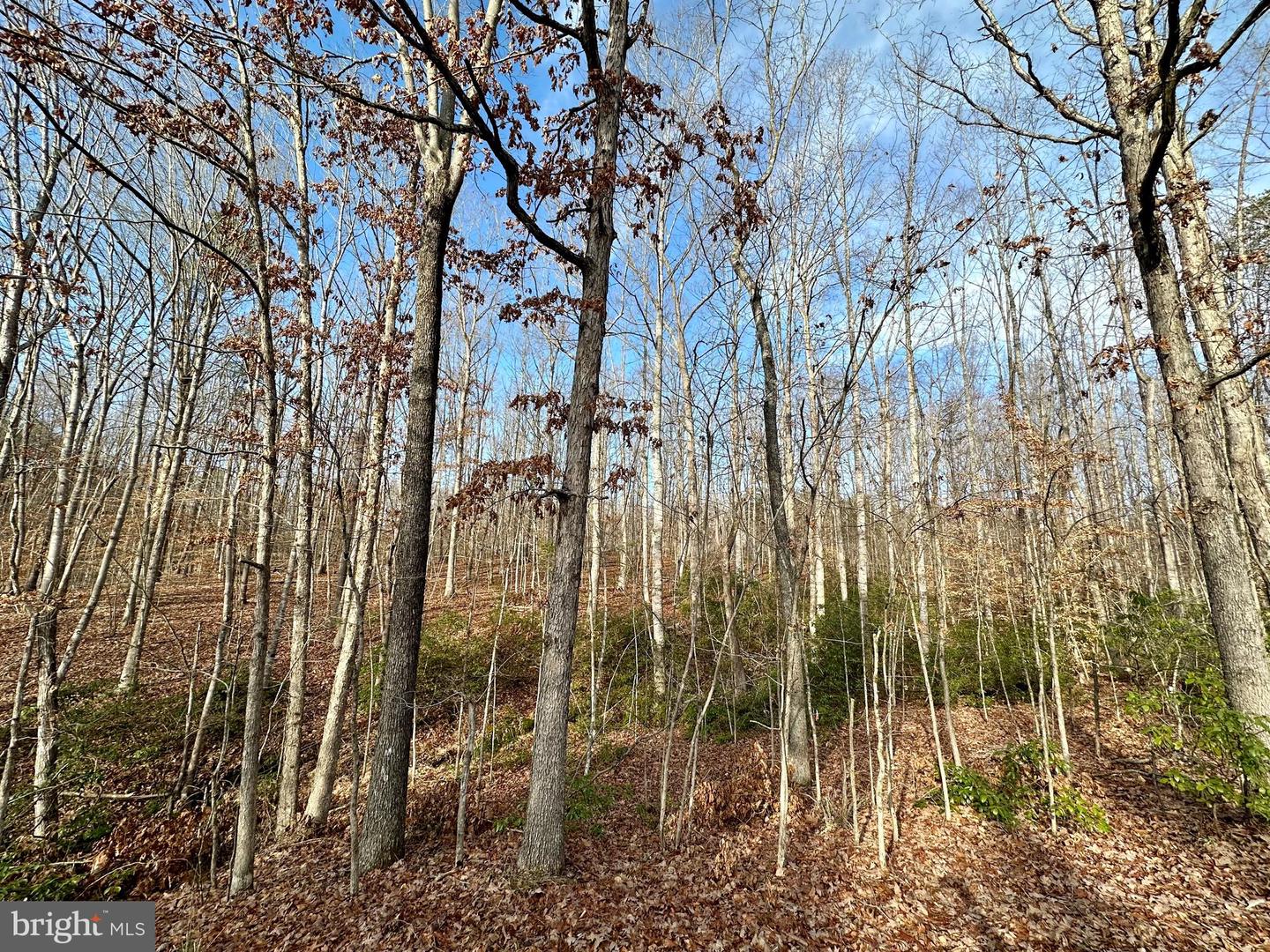 Lot 165 Oakmont Dr Property Photo 6