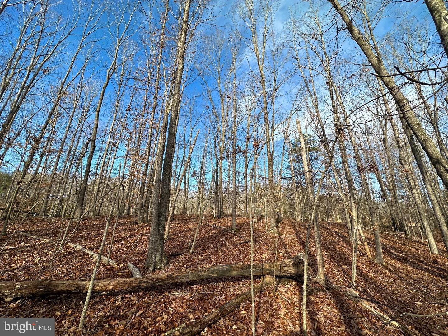 Lot 165 Oakmont Dr Property Photo 7