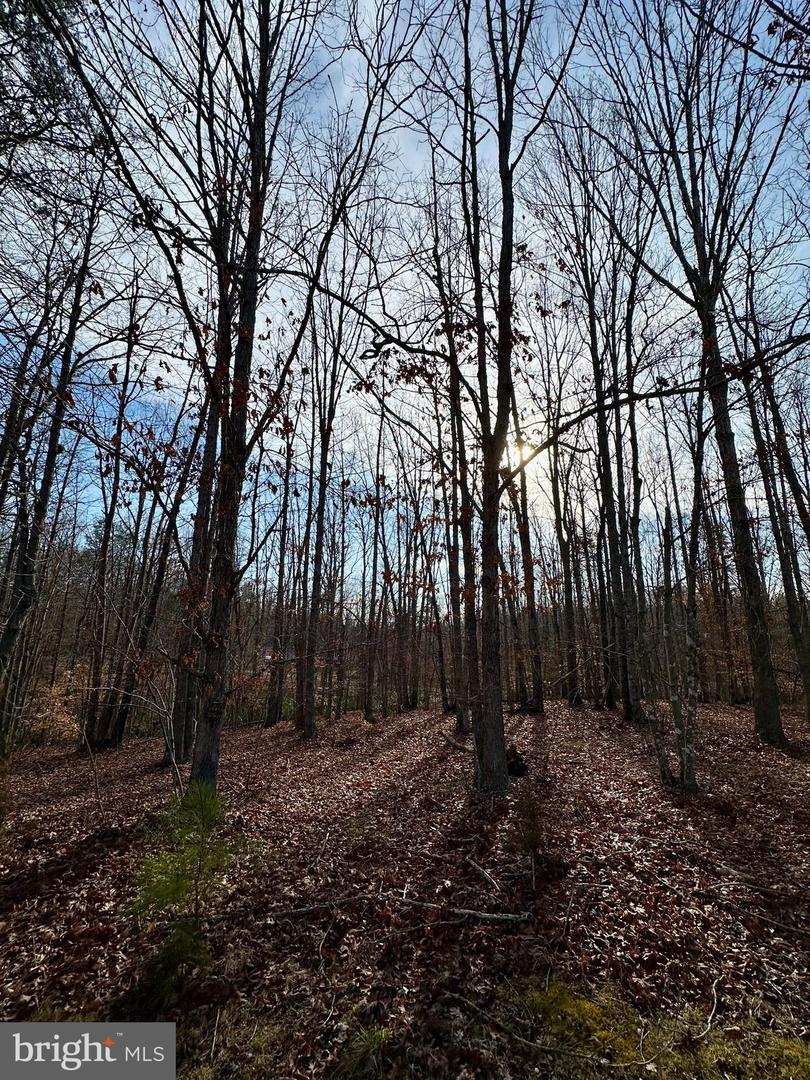 Lot 165 Oakmont Dr Property Photo 8