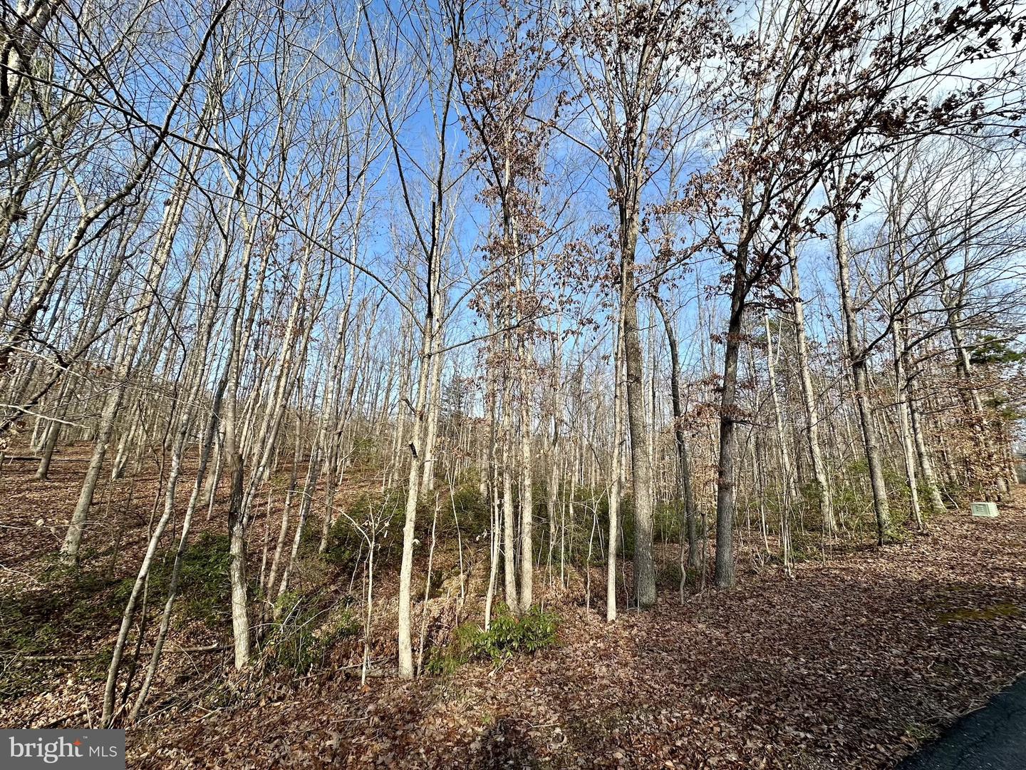 Lot 165 Oakmont Dr Property Photo 12