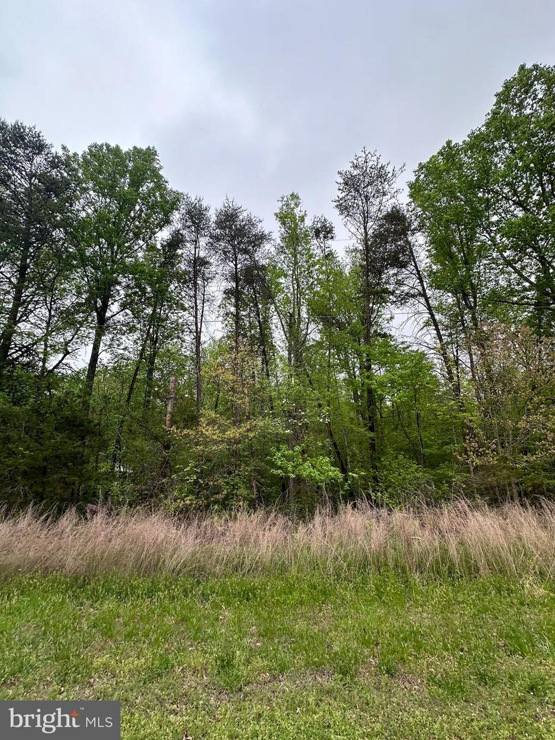 Lot 11 Plum Tree Cir Property Photo 6
