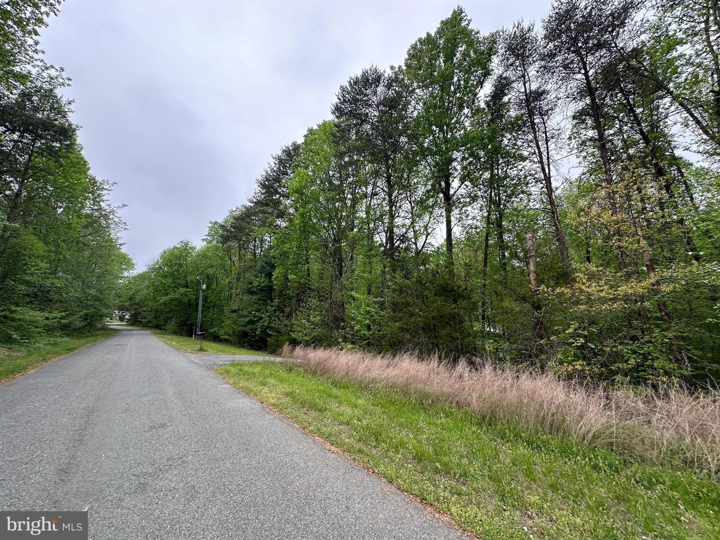 Lot 11 Plum Tree Cir Property Photo 7