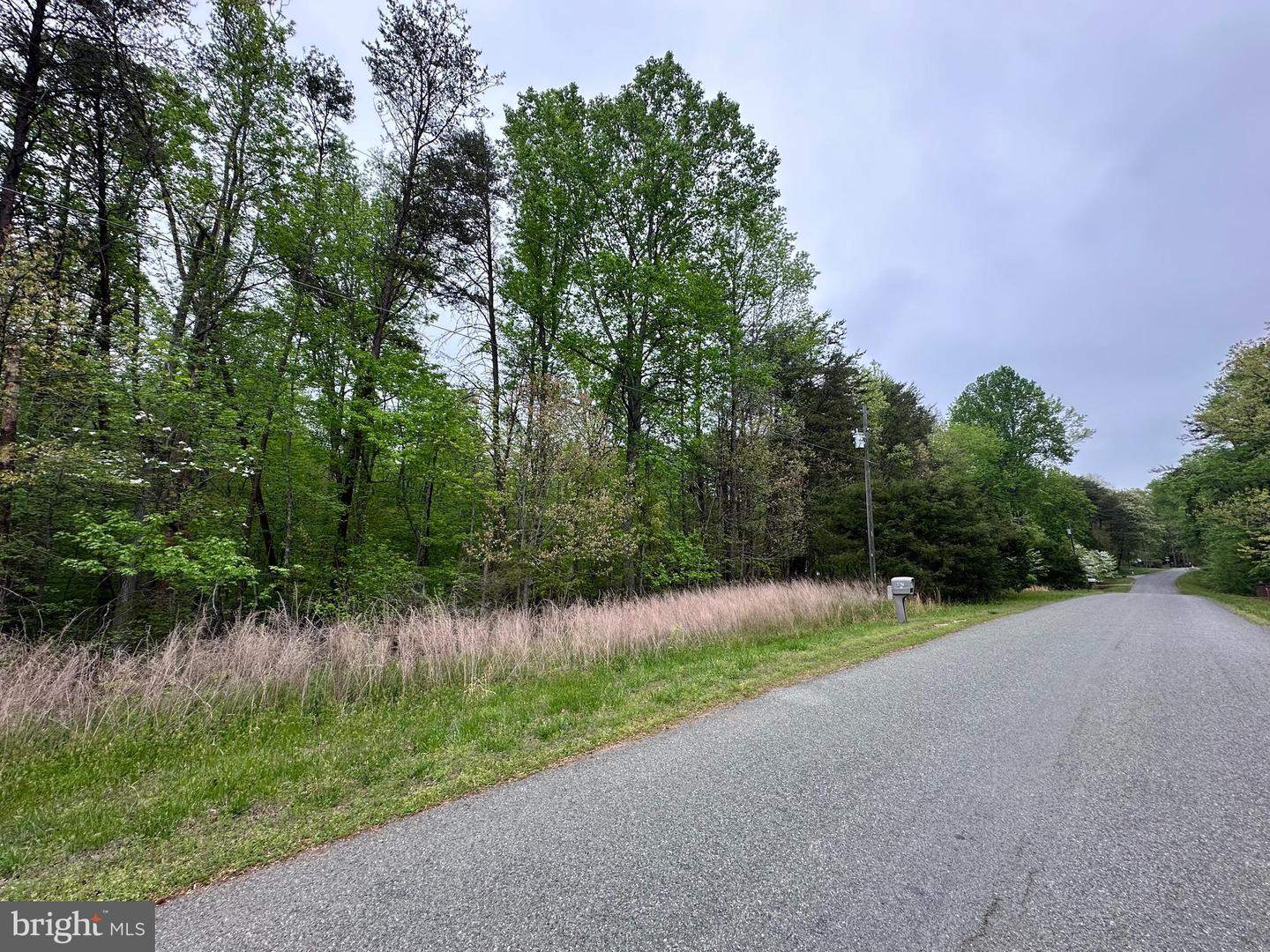 Lot 11 Plum Tree Cir Property Photo 8