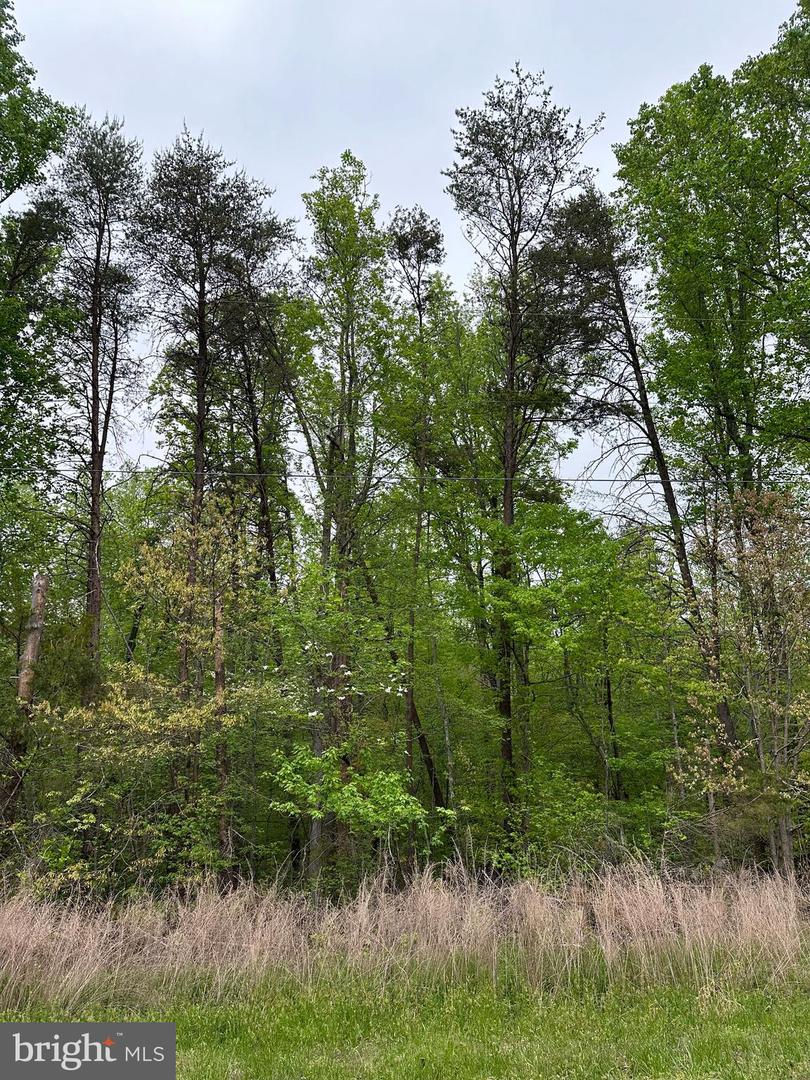 Lot 11 Plum Tree Cir Property Photo 9
