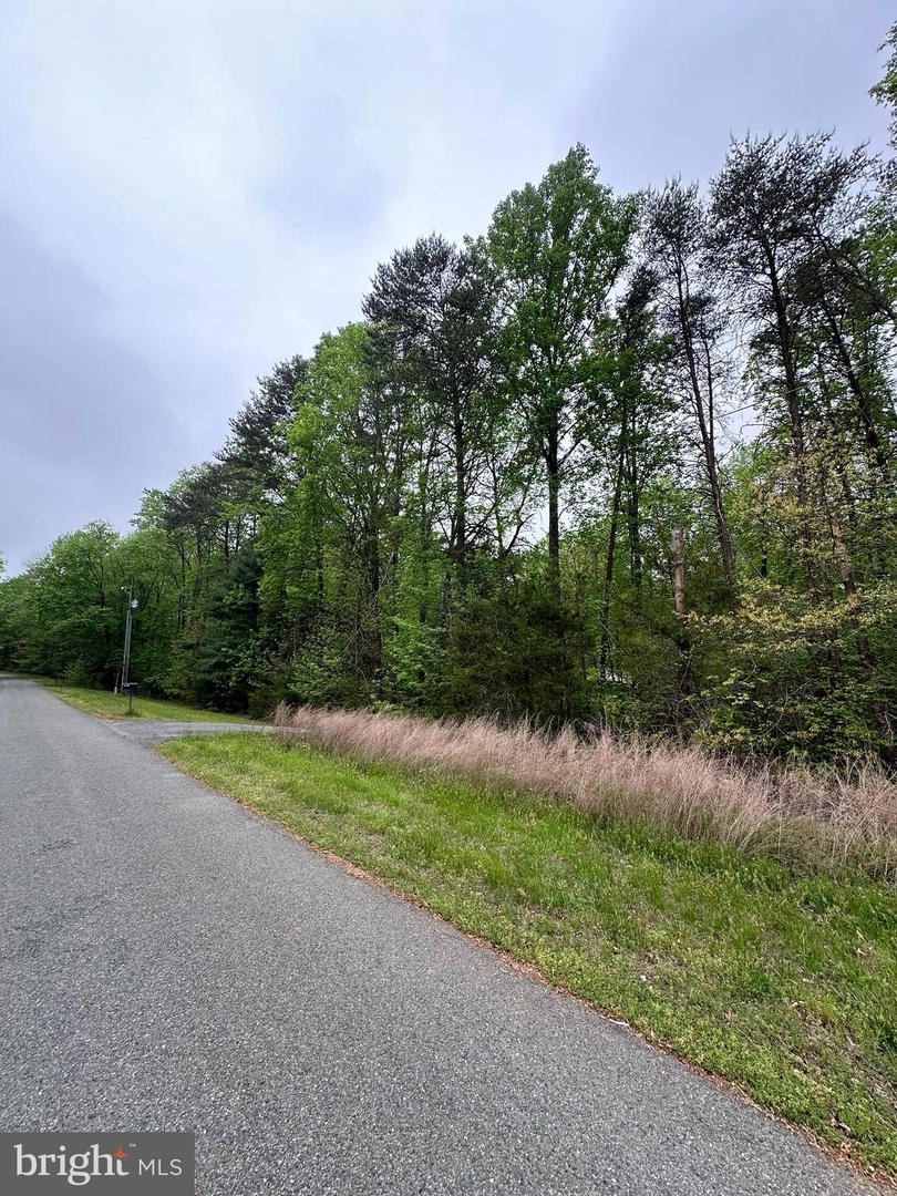 Lot 11 Plum Tree Cir Property Photo 10