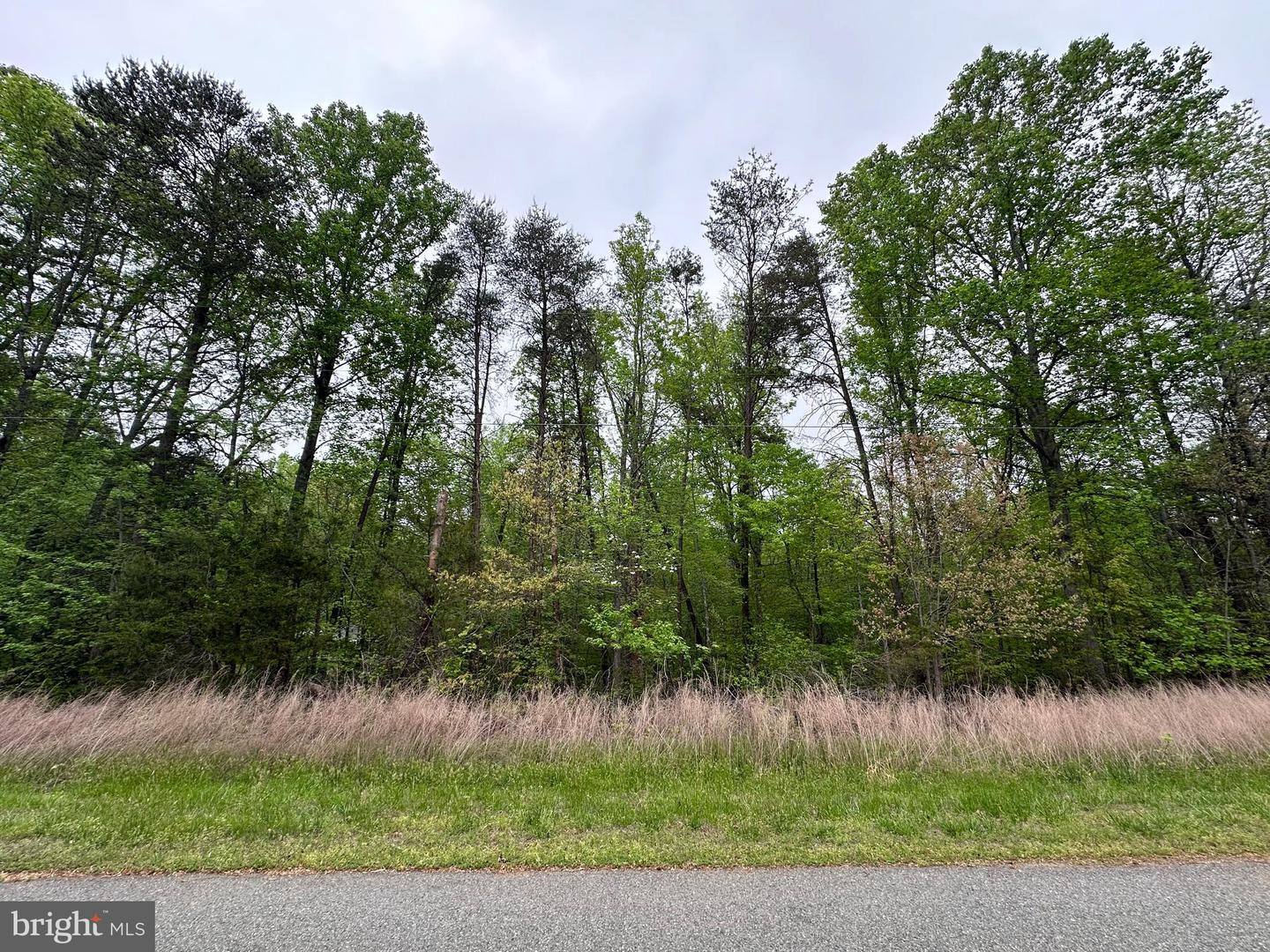 Lot 11 Plum Tree Cir Property Photo 11